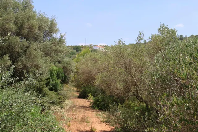 MASIA RUSTICA EN DOS HECTAREAS DE TERRENO ZONA POU DE BECA — 24