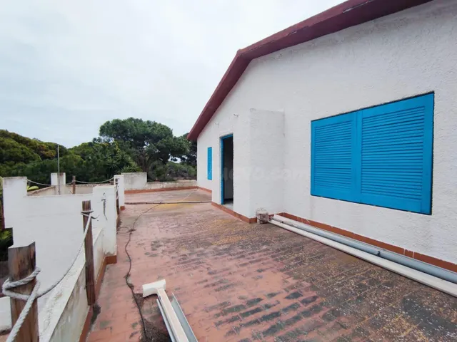 Fantástico local y vivienda en Urbanización Costa-Bella, Gua - foto 3