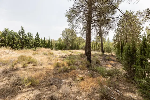 EXCLUSIVO TERRENO EN VENTA EN ALBOLOTE — 22