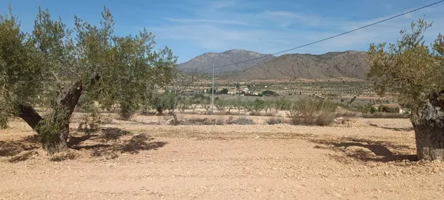 Casa cueva con terreno en Barbarroja - foto 3