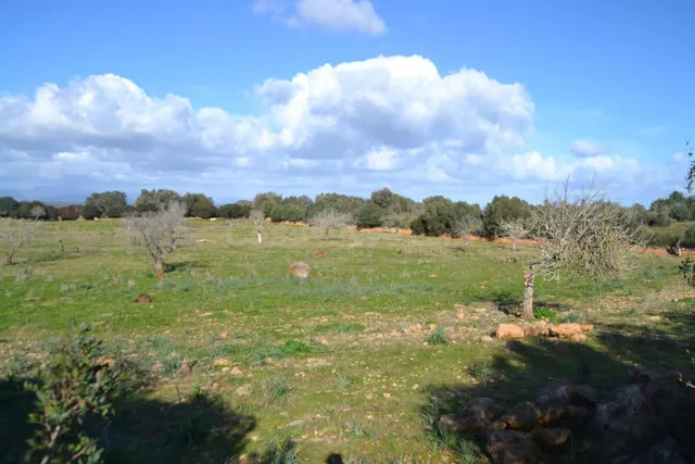 Finca rústica Manacor — 3