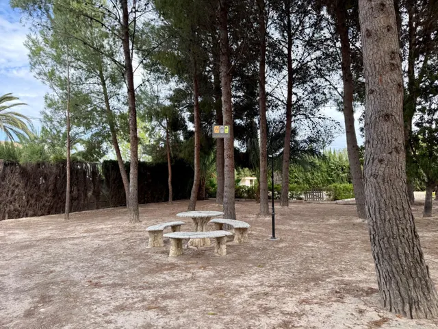 FINCA EXCLUSIVA CON GRAN POTENCIAL EN ELDA - foto 5