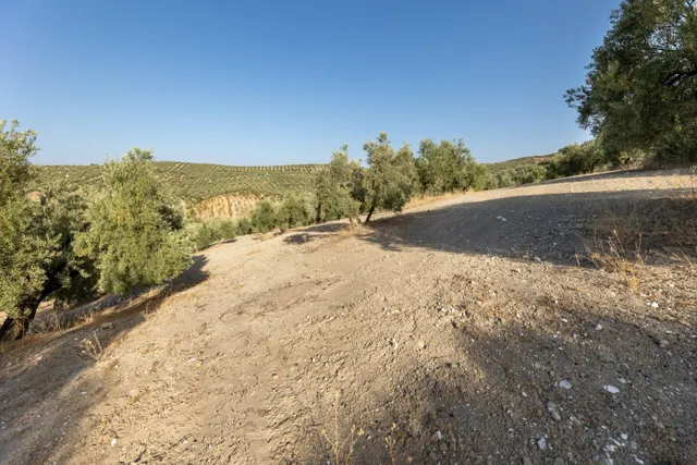 Terreno rural en venta - Alfacar — 16