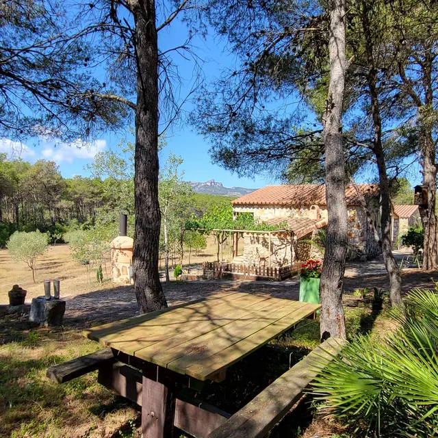 Magnífica Finca de 25.270 m2, con vivienda unifamiliar, de 1 - foto 4