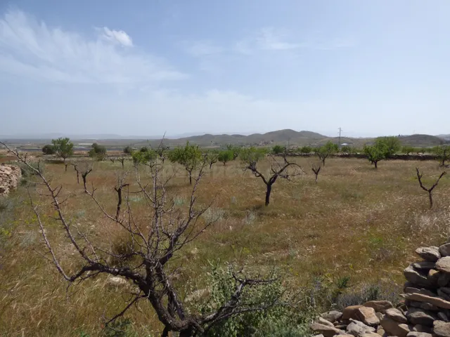 Terreno rural en venta - Andalucia - foto 4