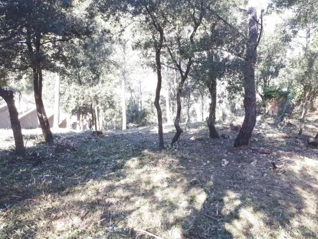 FANTASTICA PARCELA EN VENTA - foto 5