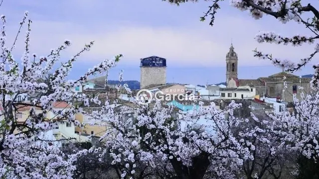 Parcela urbanizable a la venta en Alcalali. — 10
