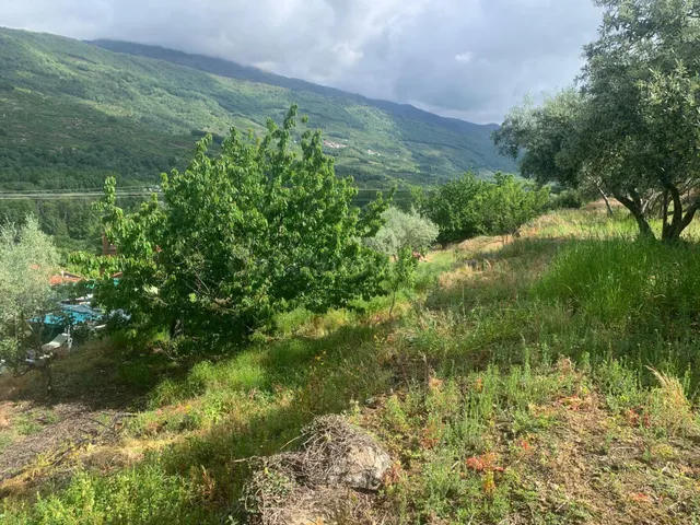 En el  Valle del Jerte a 18 km de Plasencia — 2
