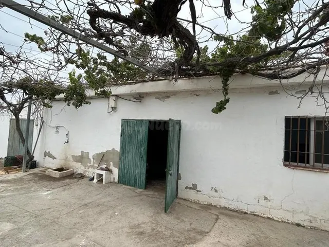 Finca con invernadero en la vega de Motril.