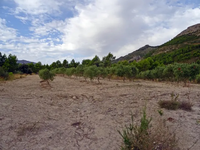 Bodega en venta en Jalon — 19
