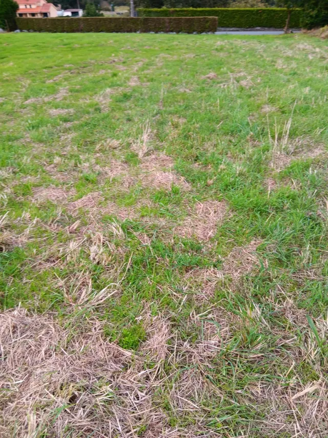 Venta de parcela en Culleredo, A Coruña. - foto 4