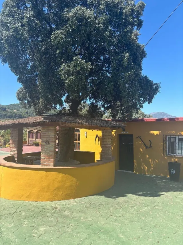 Casa de campo 8000m² en venta - South of spain — 5