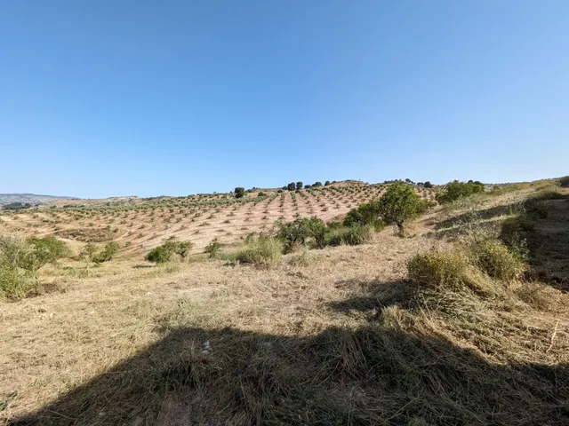 Terreno urbano 58m² en venta - CARRETERA — 18