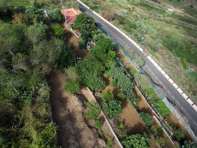 Finca rústica con casa terrera y vistas al mar en tierra del trigo, los silos — 49