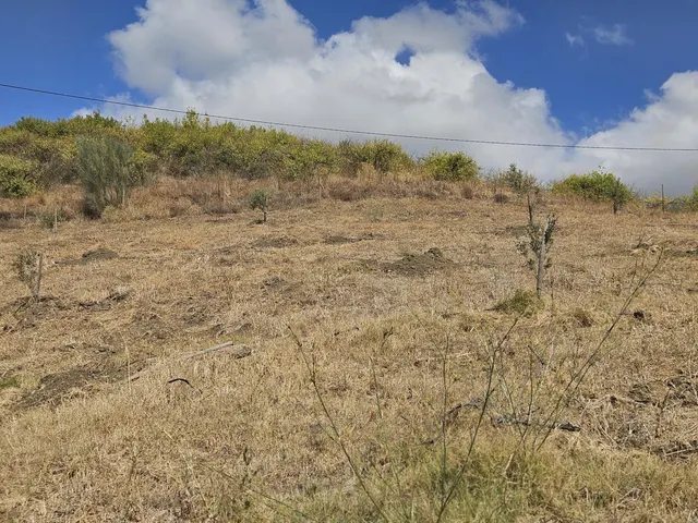 Parcela en venta - South of spain — 7