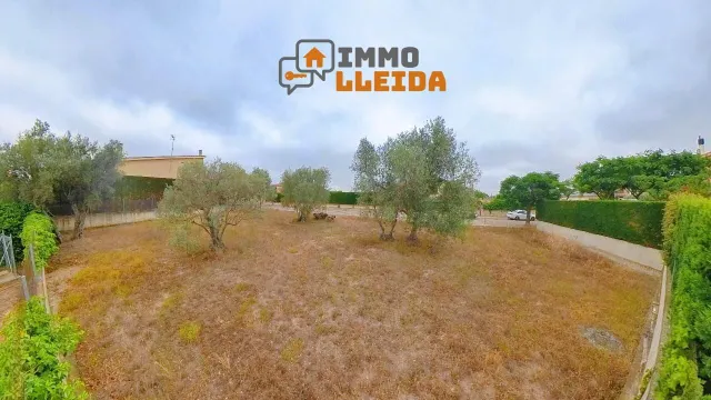 ¡Haz realidad la casa de tus sueños en Cervera! — 13