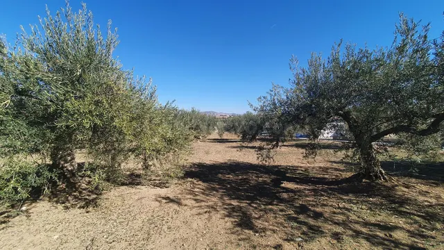 Parcela en venta - Costa del Sol - foto 5