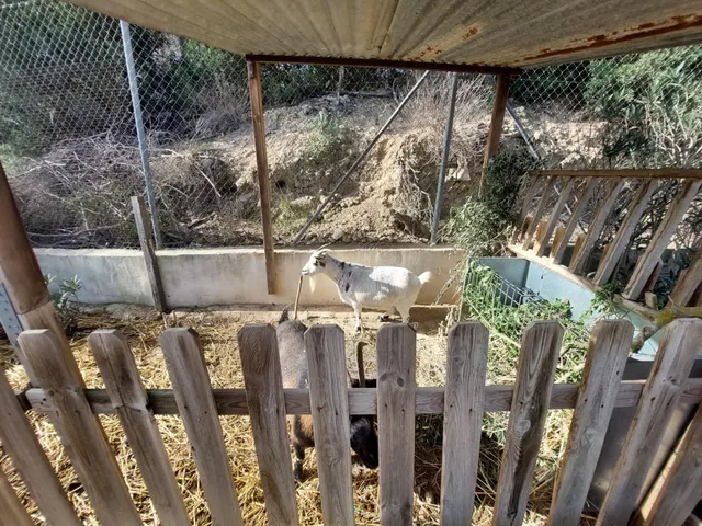 Casa con terreno en zona del Garruchal — 40