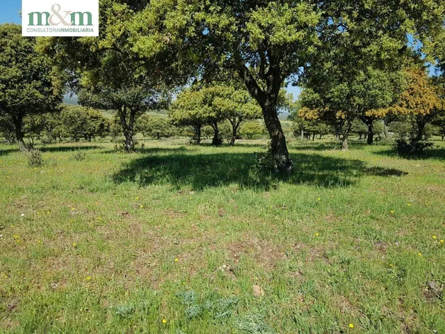 ¡¡¡CASA CON JARDIN EN VENTA EN FRADES DE LA SIERRA!!! — 47