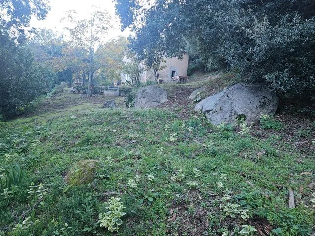 Parque natural del montseny (afueras riells): masía típica catalana catalogada a reformar — 38