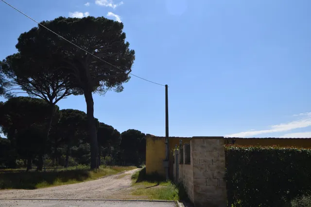 Gran finca con vivienda y merendero en Puente Duero — 6