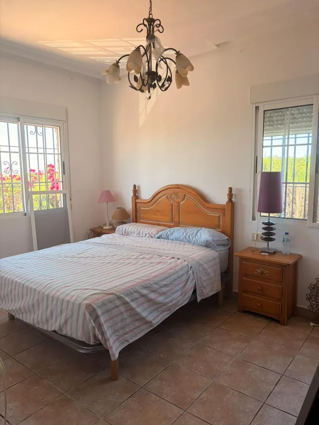 ESPECTACULAR FINCA CON CASA, PISCINA PRIVADA Y PLANTACIÓN DE LIMONEROS EN JACARILLA — 35