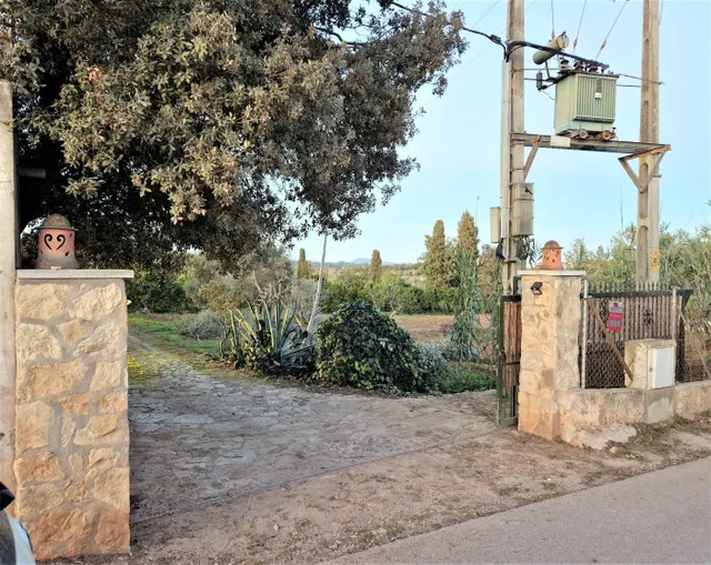 Finca Rústica en Llubí — 35