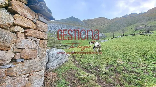 CABAÑA DE PIEDRA EN SOBA. VALDICCON — 10
