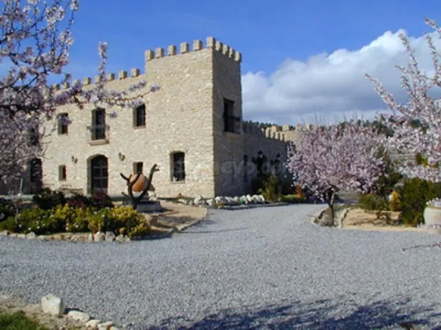 Finca con aspecto de castillo y 40.000 m2 terreno en Relleu - foto 3