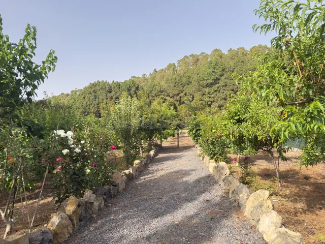 Finca rústica de 5.330 m2 con construcción de 94 m2 en La Florida — 22