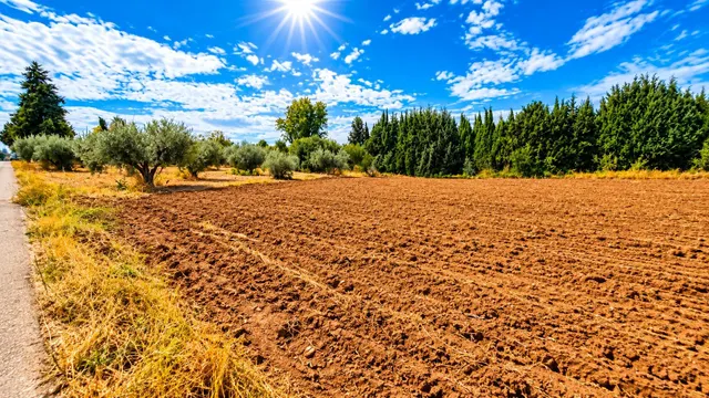 Parcela rústica de 4.824 m2 en Llanos de Moraleda, Moraleda de Zafayona — 36