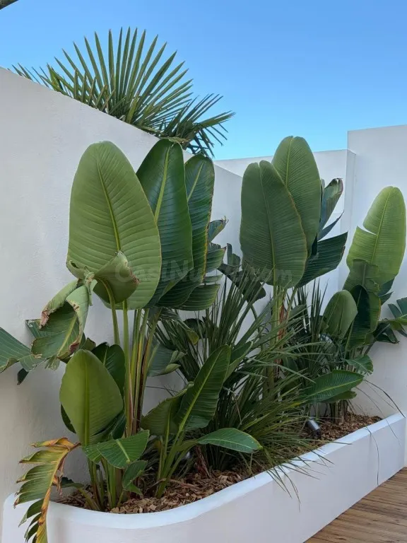 Villa de arquitecto de excepción en Empuriabrava — 4