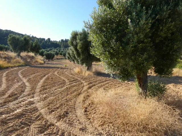 Suelo rústico en Venta en Mazaleon Teruel - foto 3