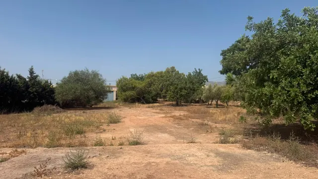 CASA DE CAMPO EN CORVERA CON 5.400 M2 DE PARCELA — 27