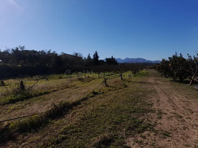 FINCA DE REGADIO DE 1,,2 HAS.CON POZO, BALSA Y ALMACEN DE HE - foto 3