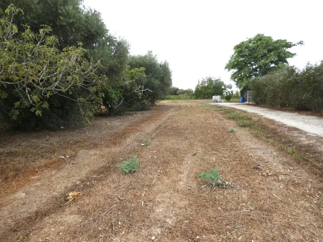 +Oportunidad Única: Casa para Reformar en Entorno Rural y Ecológico+ — 18
