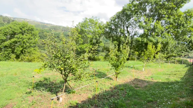 Terreno urbano + finca de 1.553 m2 en Udías, Cantabria