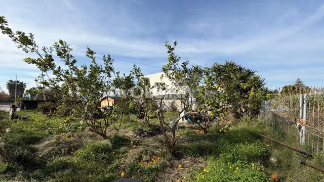 Oportunidad Única en Bellreguard: Terreno Urbano a Pasos de  - foto 4