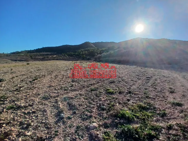 ¡¡ PRECIOSA PARCELA DE 20.300 M2 EN HONDÓN FRAILES !! — 4