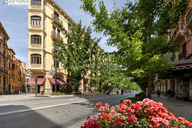 EXCLUSIVA ULTIMA PLANTA CON VISTAS EN GRAN VIA — 4