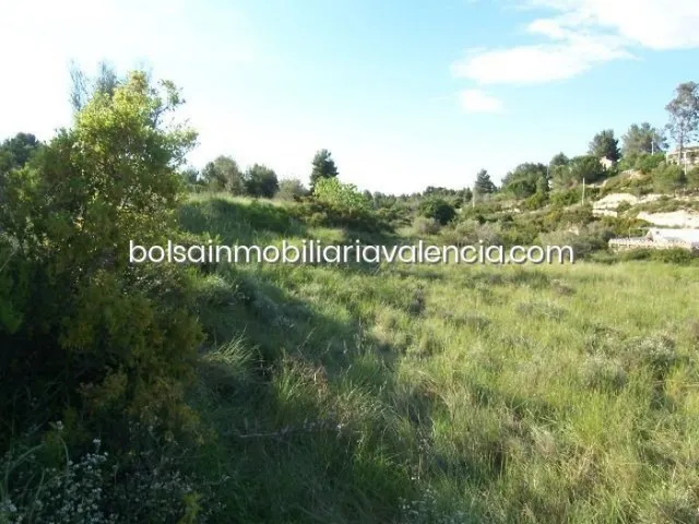 Terreno rural 8000m² en venta - La Raiosa — 21