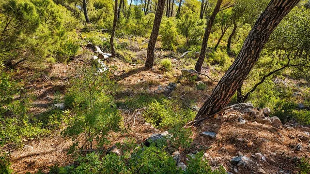 PARCELA URBANA EN NUEVA SIERRA DE ALTOMIRA – NATURALEZA, VIS - foto 4