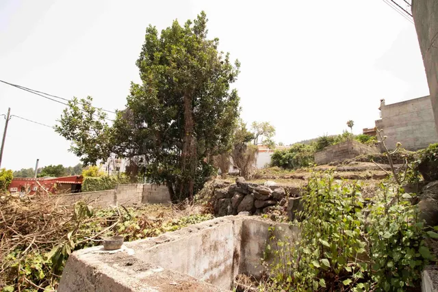 SE VENDE CASA CON TERRENO URBANO EN ICOD DE LOS VINOS. - foto 5