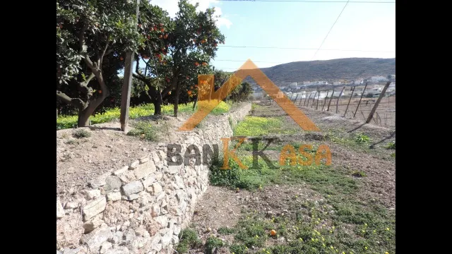 SE VENDE TERRERENO RURAL EN BERJA CON CORTIJO — 16