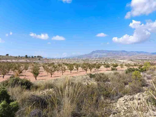Suelo rústico en Venta en Jumilla Murcia — 6