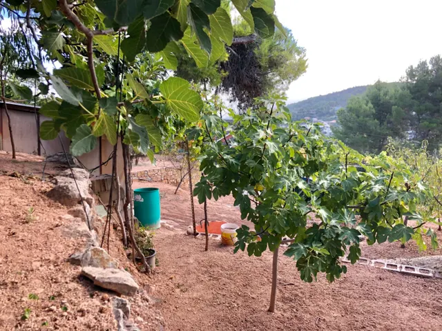 TERRENO URBANIZABLE EN VENTA EN CREU SUSSALBA — 9