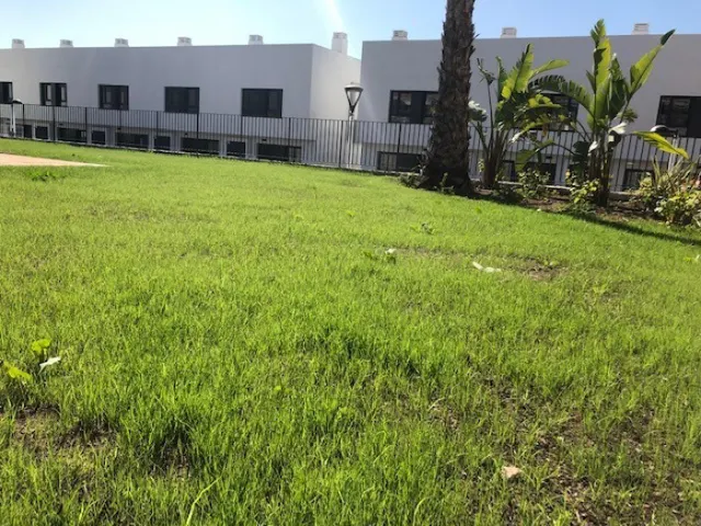 BUNGALOW NUEVO  A 15 KILOMETROS  DE  SAN VICENTE — 25