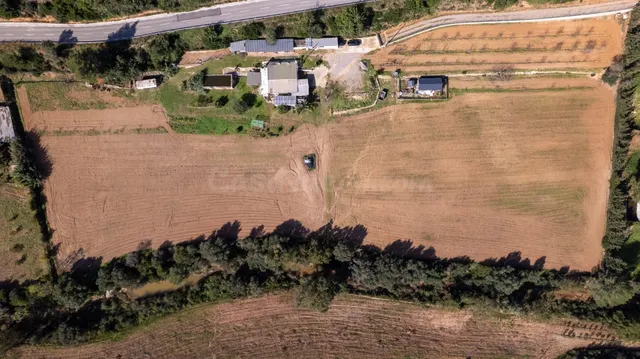 Finca Rústica de 20.000m2 con vivienda en venta. - foto 4