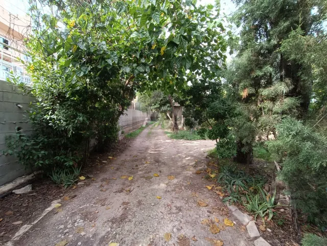 Parcela urbanizable en Campolivar. / HH Asesores, Inmobiliaria en Burjassot/ — 4