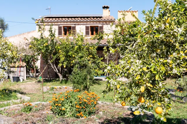 Magnífica Eco-casa de campo a las afueras de Sineu - foto 2